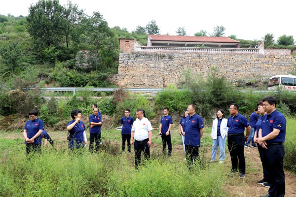 专家组在北柴胡生态种植模式试验基地发展会商 专家组在北柴胡生态种植模式试验基地发展会商