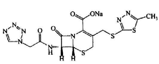 ע����ͷ��������