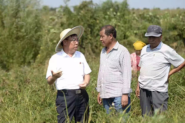恒峰g22 李安平 恒峰g22 李安平