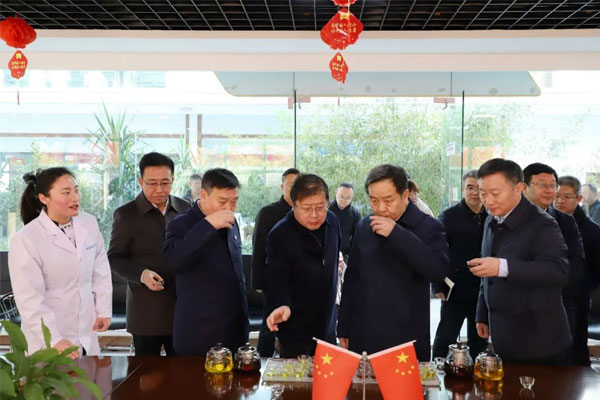 陈市长一行品尝恒峰g22五和药茶 陈市长一行品尝恒峰g22五和药茶