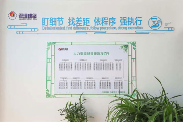 恒峰g22治理流程 恒峰g22治理流程