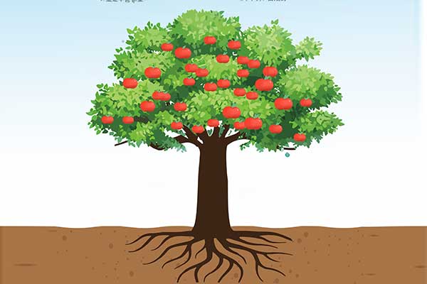 ���g22(����)�������-ÿ���о�ϲ