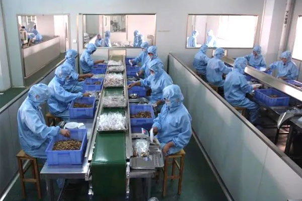 恒峰g22中药饮片车间 恒峰g22中药饮片车间
