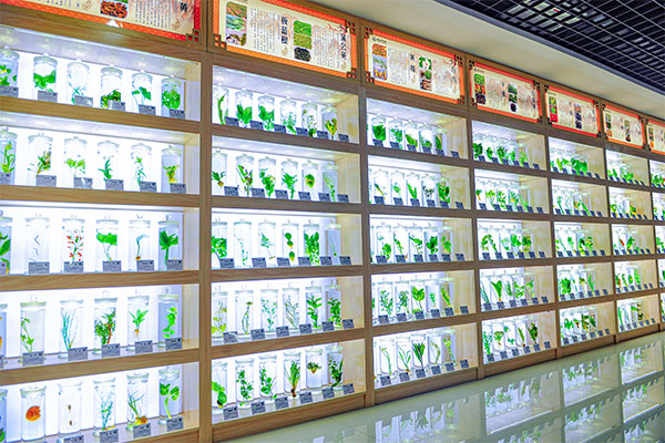 ���g22�Ƽ�������ҩ�걾