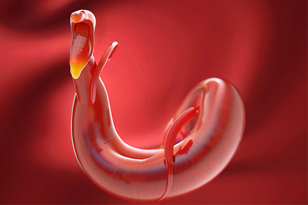 ���g22(����)�������-ÿ���о�ϲ