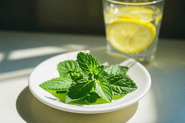 ���g22(����)�������-ÿ���о�ϲ