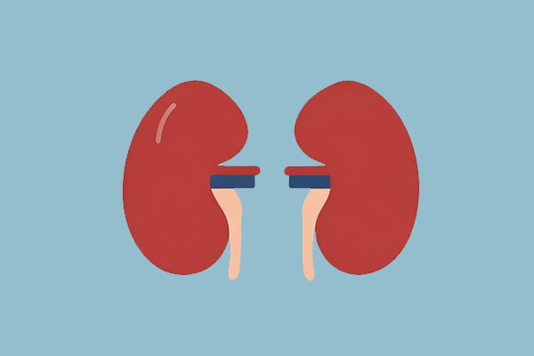 ���g22(����)�������-ÿ���о�ϲ