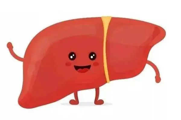 ���g22(����)�������-ÿ���о�ϲ