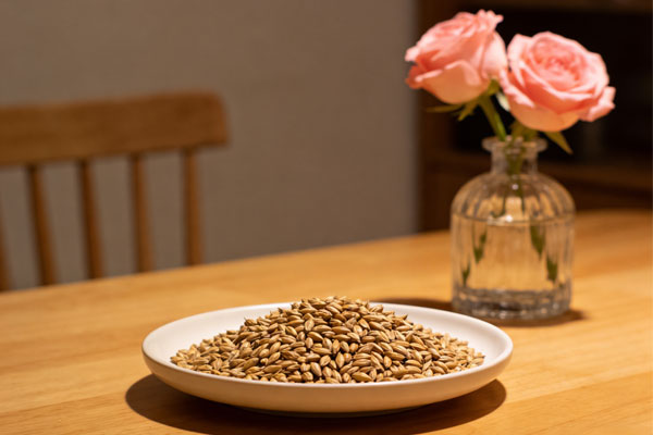 ���g22(����)�������-ÿ���о�ϲ